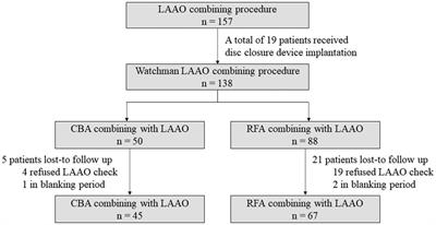 Left atrial appendage occlusion combined with cryoballoon or radiofrequency ablation: One-year follow-up comparison